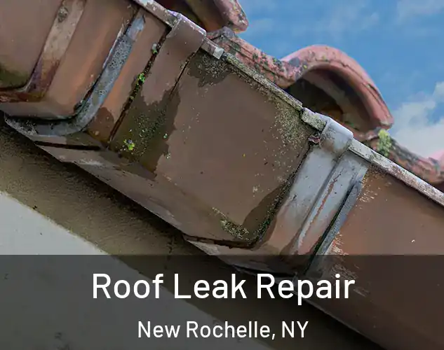  Roof Leak Repair New Rochelle, NY