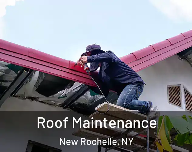  Roof Maintenance New Rochelle, NY
